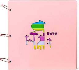 彩虹系列DIY相冊(cè)